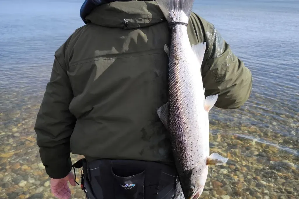 Angler trägt eine Meerforelle über der Schulter, klares Wasser über Steinen