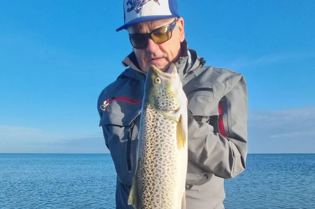 Angler hält eine gefleckte Meerforelle vor blauem Himmel
