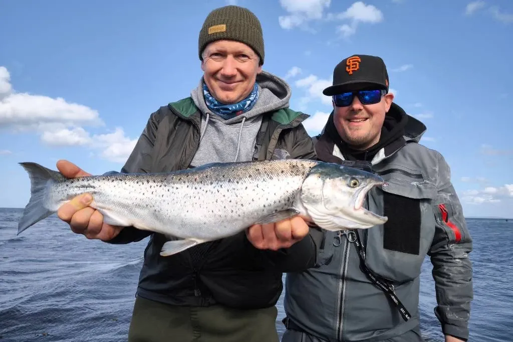 Zwei Angler zeigen gemeinsam eine Meerforelle